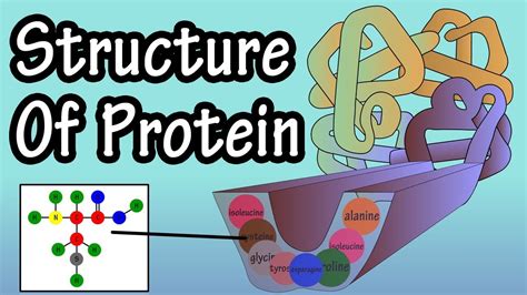 Protein Food Group Building Blocks For Body Healthy My Plate Printable Worksheet - My Plate Printable Worksheet