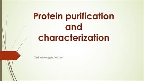 Protein Purification And Characterization