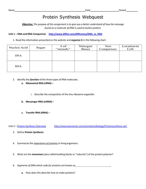 Protein Synthesis Webquest Answer Key
