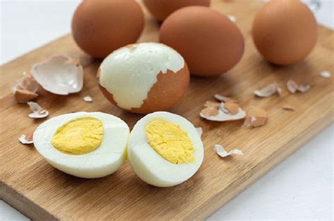 protein telur