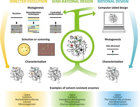 Full Download Protein Engineering And Design 