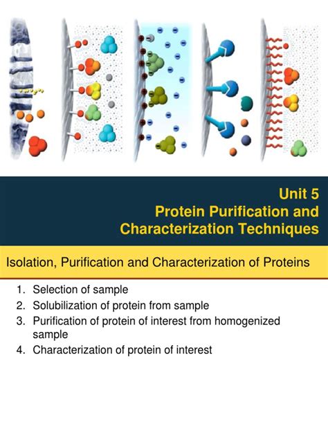 Download Protein Purification And Characterization 