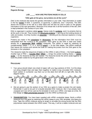 Full Download Protein Synthesis Lab Answers Key 