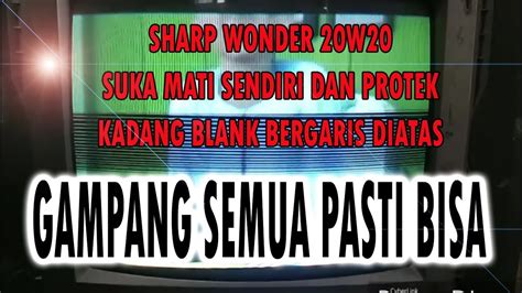 Protek Tv Sharp Wonder