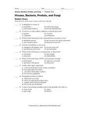 Download Protists And Fungi Chapter Test 