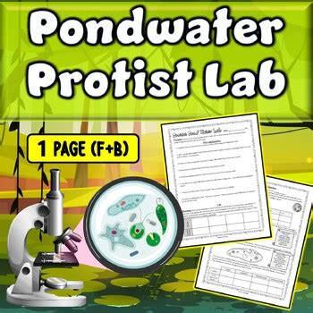 Read Online Protists In Pond Water Lab Answers 