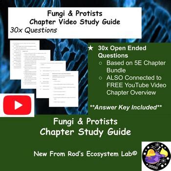 Download Protists Study Guide Answer Key 