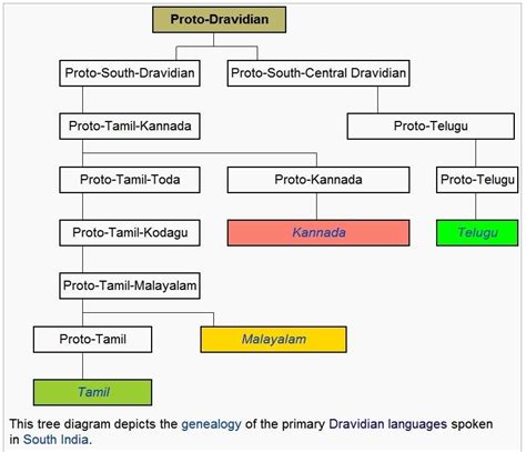 Proto Dravidian Language Tree