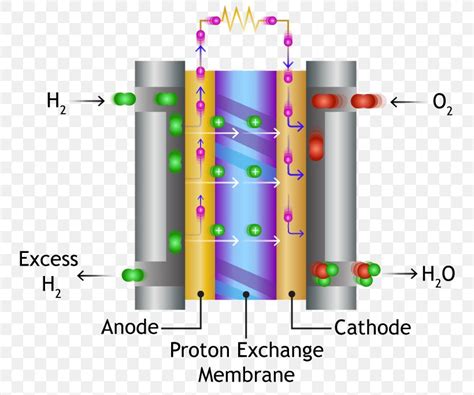 Proton Exchange Membrane