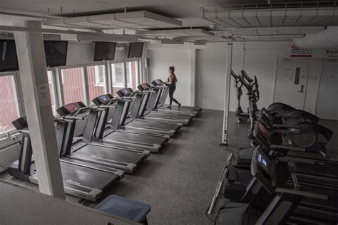 provträna actic kiruna