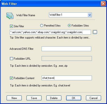Proxy Internet Filter