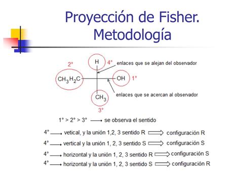 proyecciones de fisher pdf