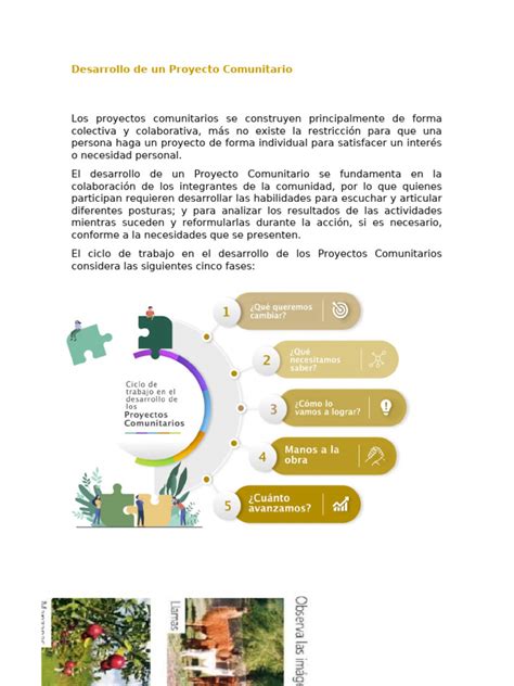 Proyecto Comunitario Ejemplo