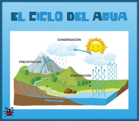 Proyecto educativo: El ciclo del agua para niños
