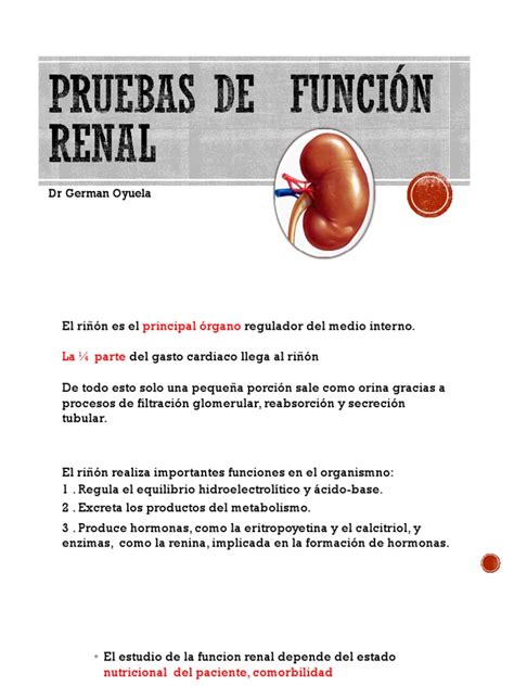 Pruebas De Funcion Renal