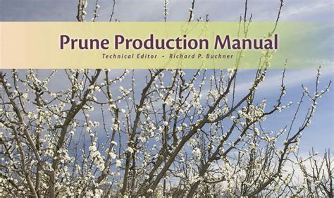 Read Online Prune Production Manual 