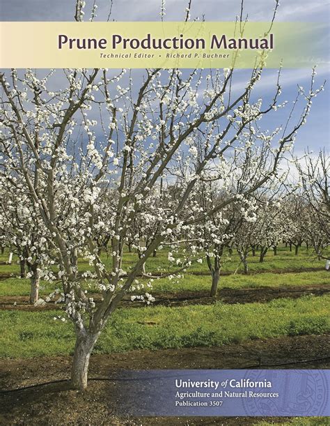 Read Online Prune Production Manual 