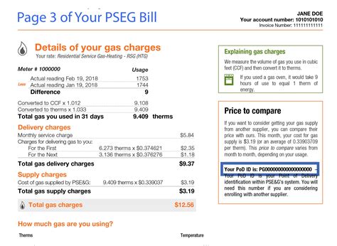 Pseg Sample Bill