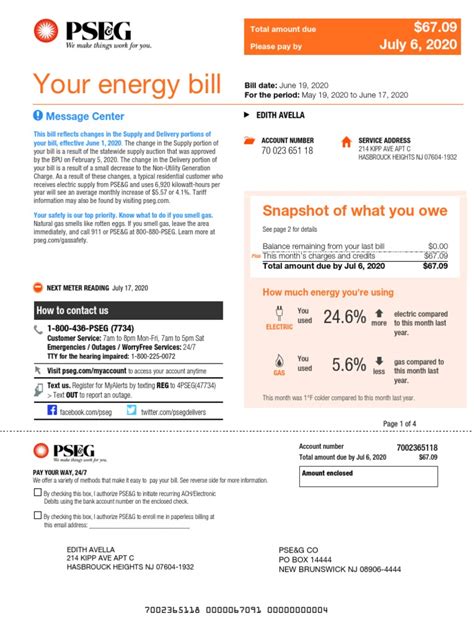 Pseg Sample Electric Bill