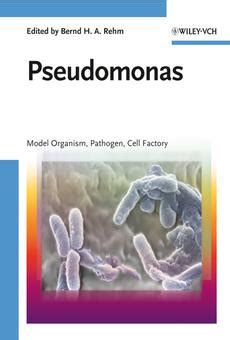 Download Pseudomonas Model Organism Pathogen Cell Factory 