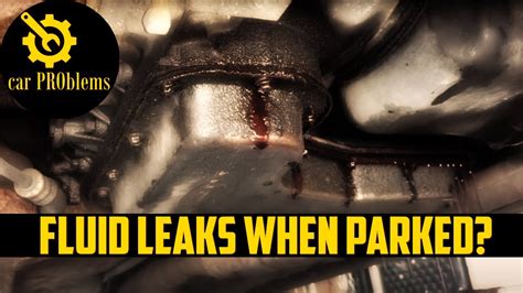 psilocybinskye leaks