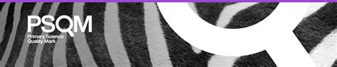 premier bet: Apostas Desportivas Online com Garantia de Segurança Financeira para Todos os Jogadores - Foto 2