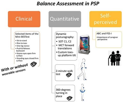 Full Download Psp Metrics Test Answers 