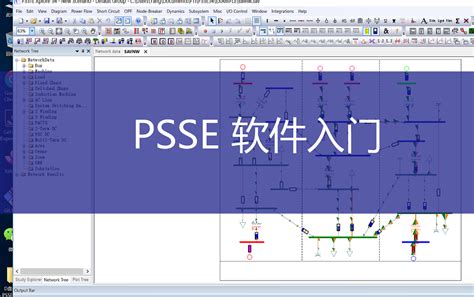 Psse Manual User