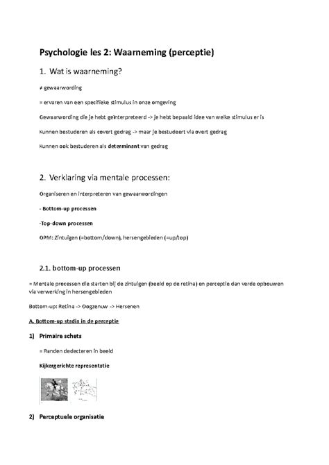psychologie waarneming