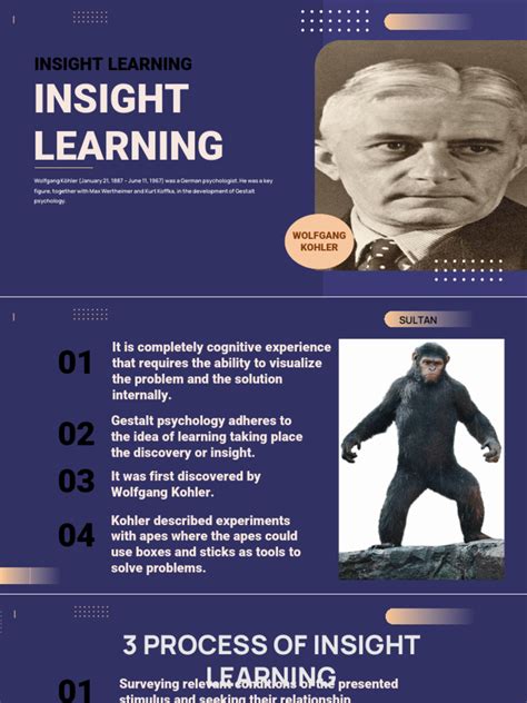 Psychology Perceprtual Learning Example