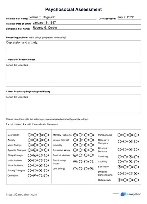 Psychosocial Assessment Example