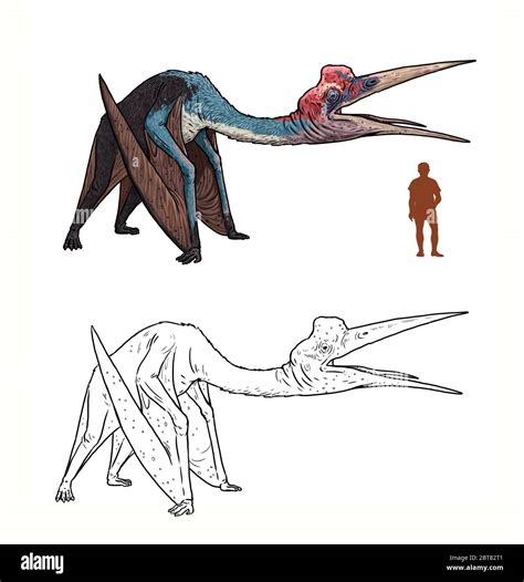 Pterosaur Vs Pteranodon