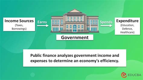 Public Finance Meaning