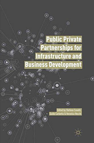 Full Download Public Private Partnerships For Infrastructure And Business Development Principles Practices And Perspectives 