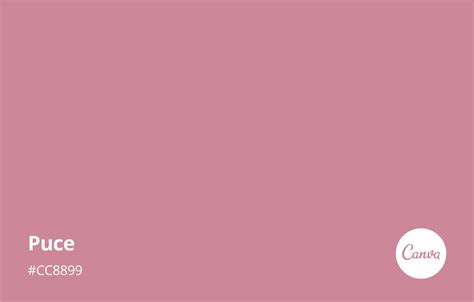 puce color