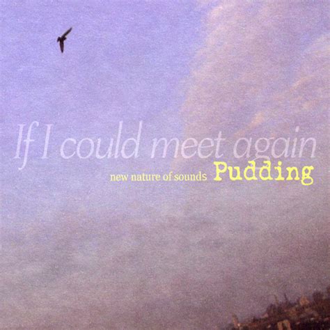 Pudding spotify