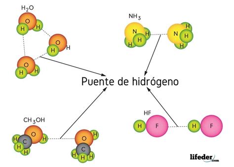 Puentes De Hidrogeno