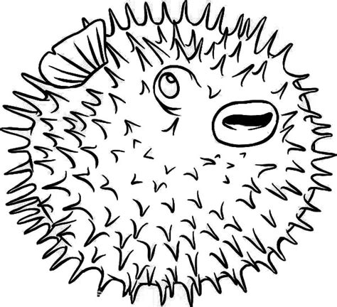 Puffer Fish Coloring Page At Getcolorings Com Free Puffer Fish Coloring Page - Puffer Fish Coloring Page