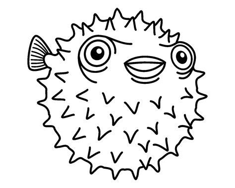 Puffer Fish Coloring Page   Underwater Puffer Fish Coloring Page 4 Free Printable - Puffer Fish Coloring Page