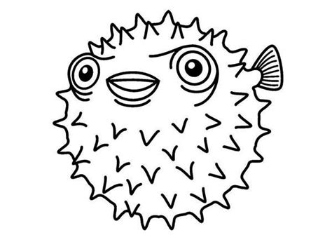 Puffer Fish Coloring Page   White Spotted Puffer Coloring Page - Puffer Fish Coloring Page
