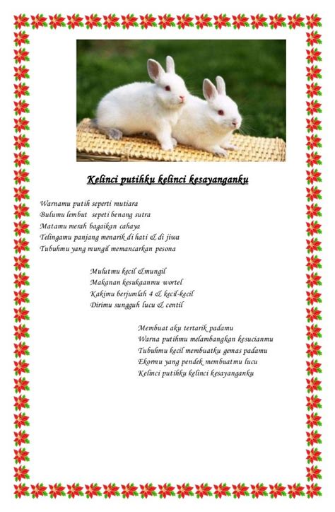 puisi tentang hewan kelinci