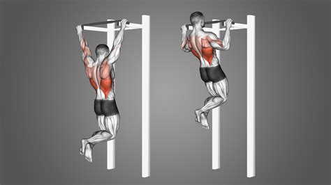 Pull Ups And Muscles Worked