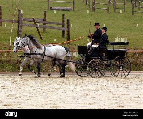 pulled by horses