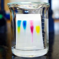 Pulling Colors Apart Science Experiment Science Fun Science Experiment With Colors - Science Experiment With Colors