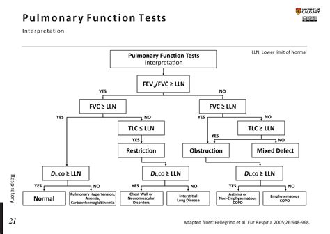 Pulmonary Function Testing Guidelines And Controversies Equipment Methods And Normal Values