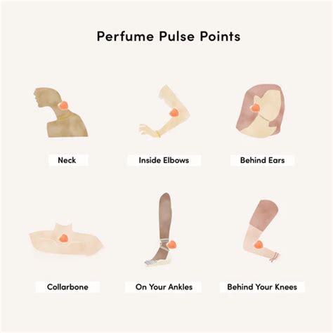 Pulse Points For Perfume