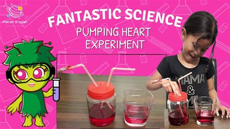 Pumping Heart Experiment Kids Science Youtube Heart Science Experiment - Heart Science Experiment
