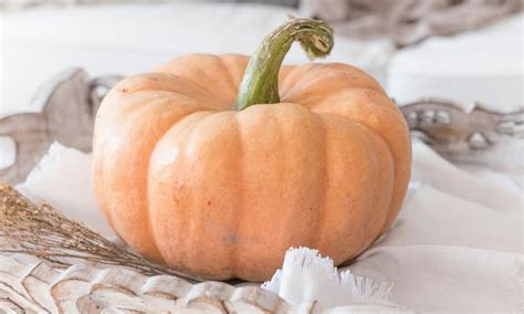 pumpkin color