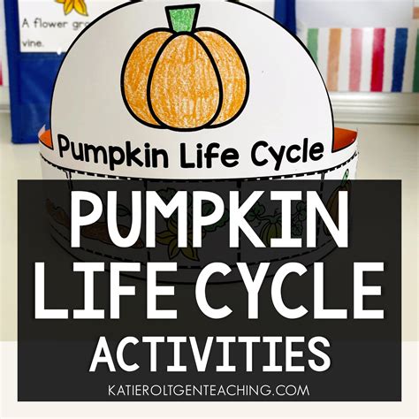 Pumpkin Life Cycle Activities Katie Roltgen Teaching Pumpkin Life Cycle Activity - Pumpkin Life Cycle Activity