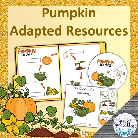 Pumpkin Life Cycle File Folder Game From Abcs Life Cycle Of A Pumpkin Kindergarten - Life Cycle Of A Pumpkin Kindergarten